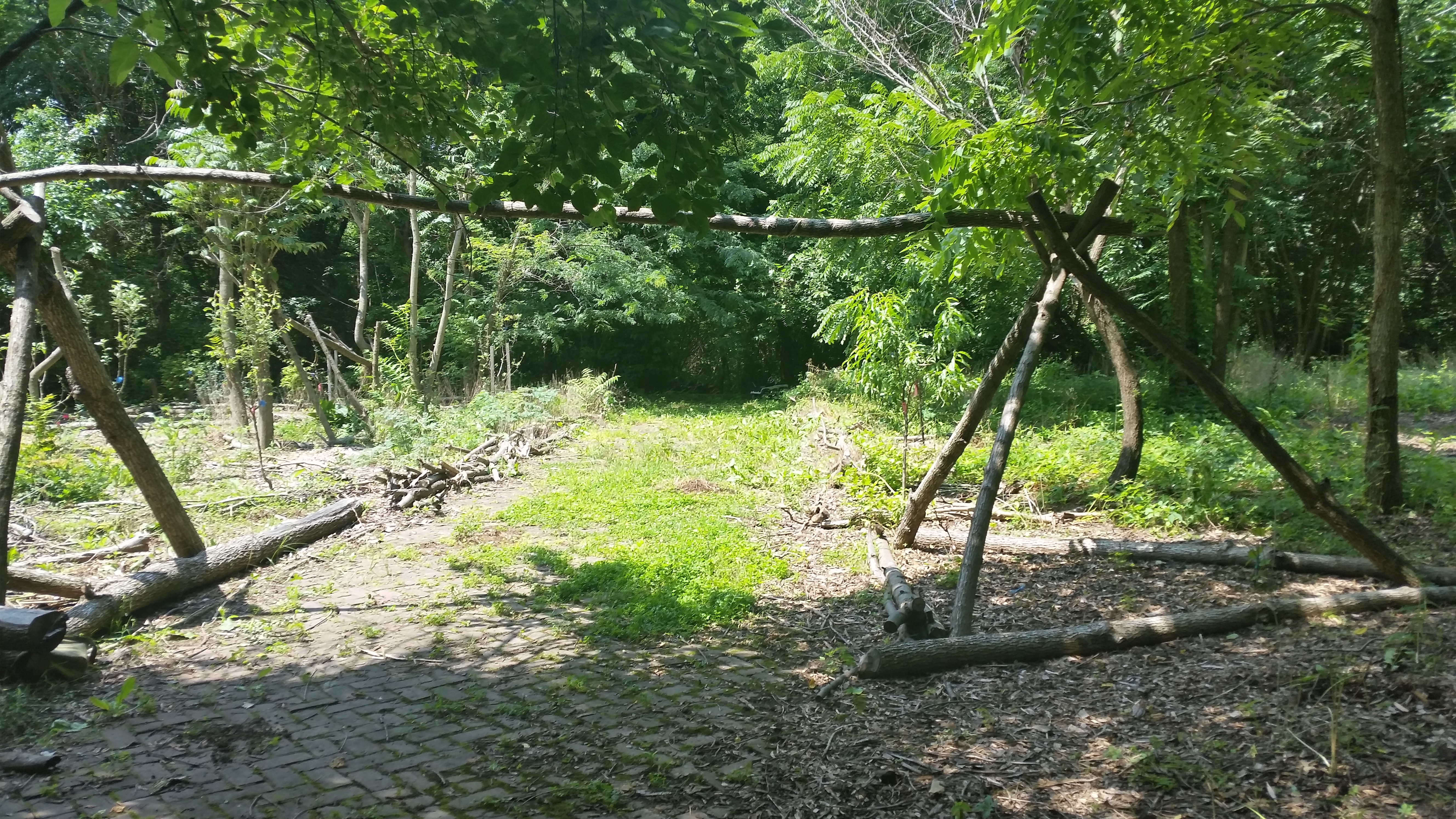 An image from the entrance of the food forest showing the dense canopy of trees, a brick path from the human impacts, and rustic structures built by Charm City Farms staff and volunteers