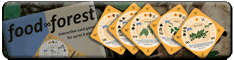 Animated food forest playing cards.