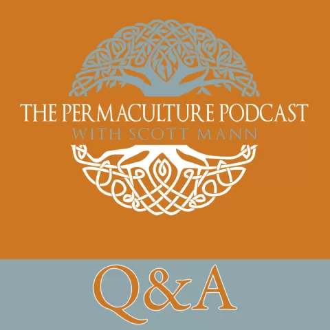 Q&A Episode Header Image - The Permaculture Podcast Logo with the text "Q&A" at the bottom.