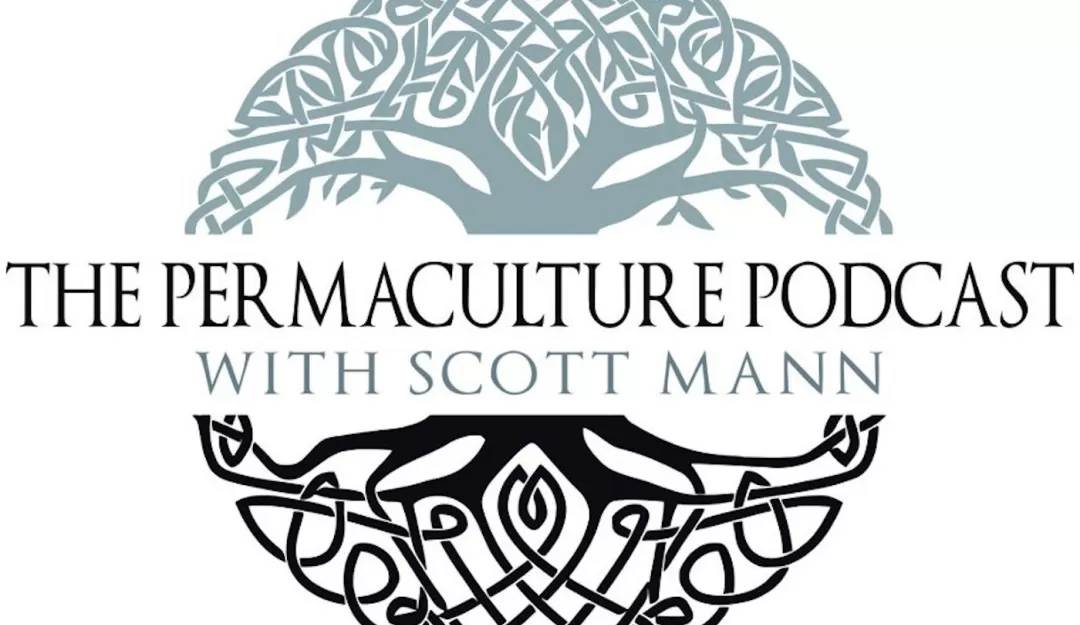 The Permaculture Podcast Tree with Roots Logo