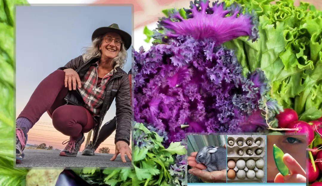 The background is a three-quarter view of a basket of vegetables including an eggplant, lettuce, and radishes. In the foreground to the upper left, surrounded in a gray border is an image of Rachel Kaplan, with the camera pointed up at here.  In the lower right, surrounded by a gray border is an image of the cover of her book, Urban Homesteading.