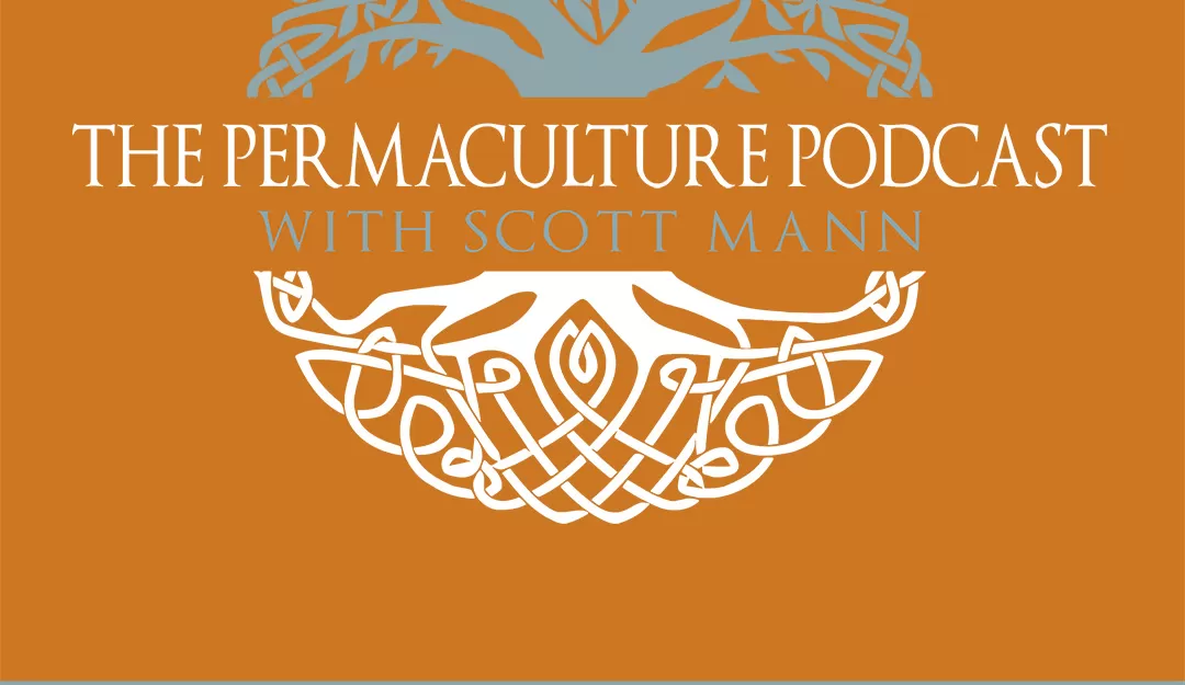 Q&A Episode Header Image - The Permaculture Podcast Logo with the text "Q&A" at the bottom.